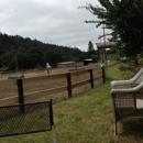 Briarcliff Farm - Stables