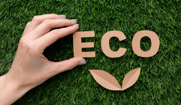 Eco Expert Pest Management