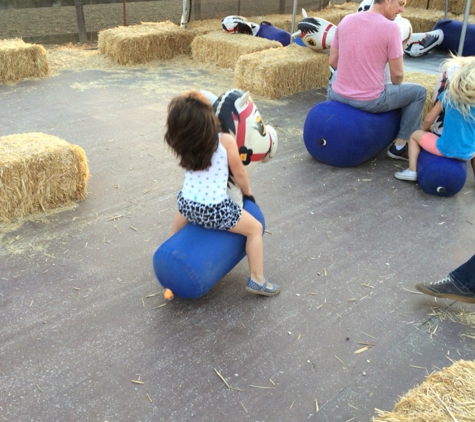 Clayton Valley Pumpkin Farm & Christmas Trees - Clayton, CA