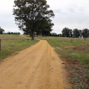 Gallery Image Number 4