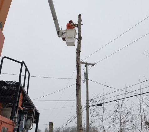 Apple Valley Tree Service - La Fayette, NY