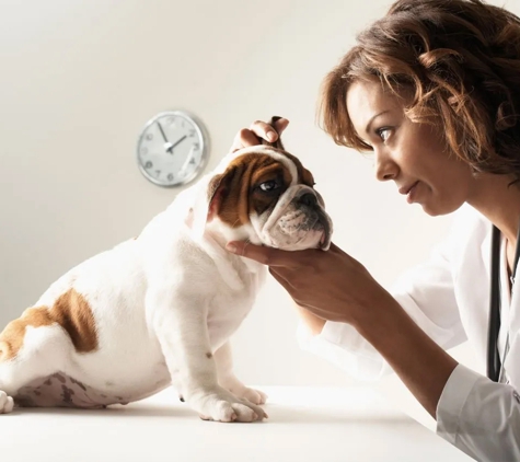 Ashcroft Veterinary Surgeons - Ashcroft, NSW