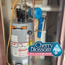 Cherry Blossom Plumbing - Water Heaters