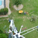 Chapmans Expert Tree Service - Tree Service