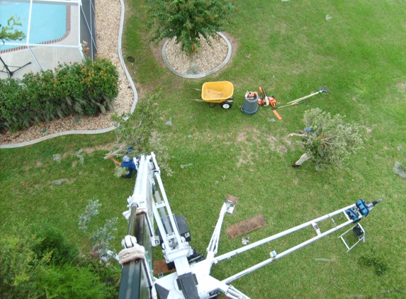 Chapmans Expert Tree Service - Daytona Beach, FL