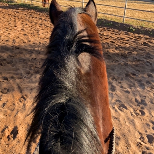 Crossroads Farm - Gilbert, AZ