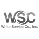 WSC White Service Co., Inc. - Fireplaces
