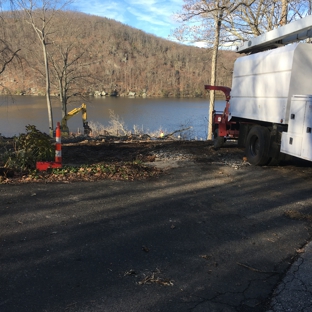 A & A Tree Service - New Milford, CT