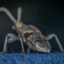 Ban A Bug Pest Control Inc - Pest Control Equipment & Supplies