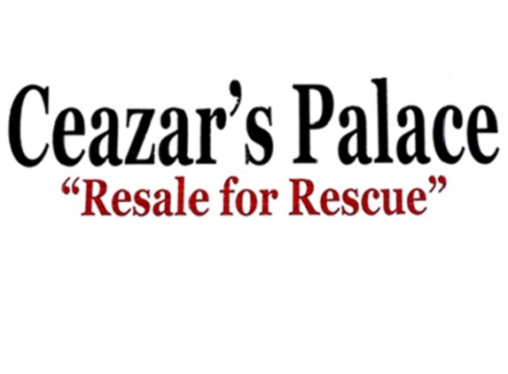 Ceazar's Palace - Resale Shop - Momence, IL