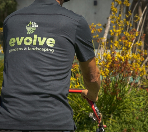 Evolve Gardens & Landscaping - Ballina, NSW
