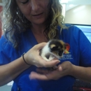 Heartwood Animal Hospital - Veterinary Clinics & Hospitals