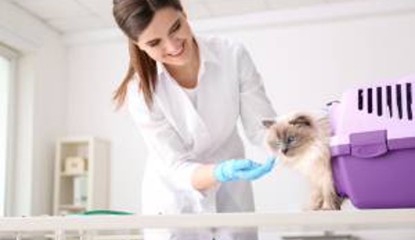 Emergency Pet Hospital - Naples, FL