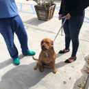 Beachside Animal Hospital - Veterinarians