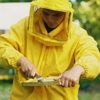 Greathouse Pest Control Services Inc gallery