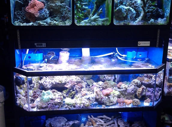 Saltwater Reef Shop Inc - Tulsa, OK