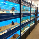 Petco - Pet Stores