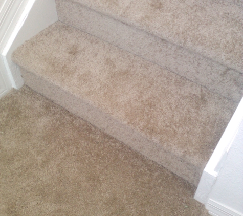 Steam Plus Carpet Cleaning - Homestead, FL