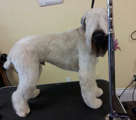 Brittney's Grooming - Fresno, CA