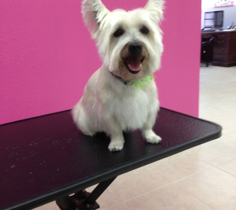 Happy Tails Dog Spa - Torrance, CA