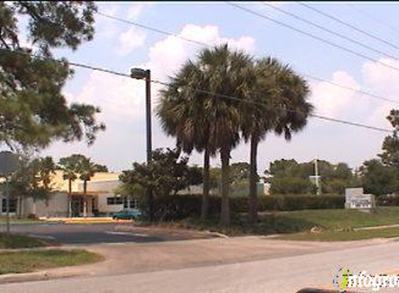 Englewood Pool - Orlando, FL