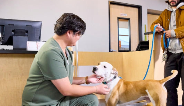 Banfield Pet Hospital - Jacksonville, FL