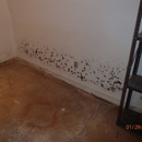 Premier Mold Inspection And Testing - Mold Remediation