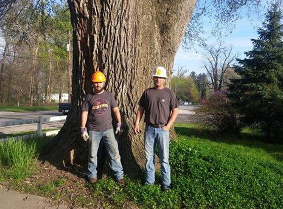 Salmon S Tree Service