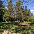 Fuller Park - Parks