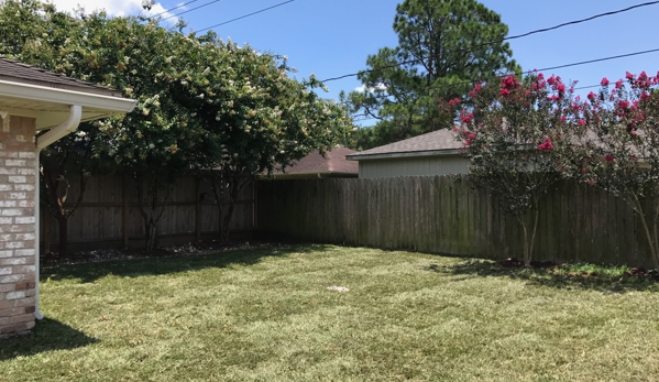 Doty Destruction - Houston, TX. Newly Laid Sod