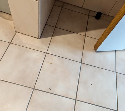 William MacIntosh Motor Lodge - Naracoorte, SA. Filthy bathroom floor