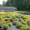 Roebuck Greenhouses Inc gallery