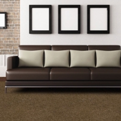 Gallery Image Number 3