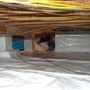 Low Crawl Waterproofing & Insulation