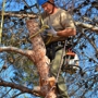 McKee Tree Service