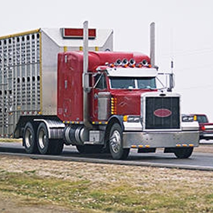 Truck Art Trailers Pty Ltd - Bomen, NSW