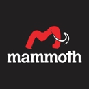 Mammoth Plumbing - Water Heater Repair