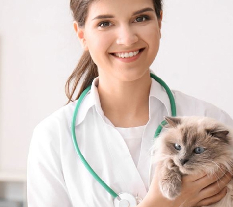 Reynella Veterinary Clinic - Morphett Vale, SA