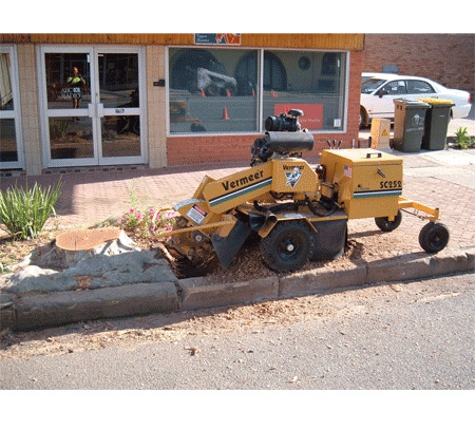 D&C TREE SERVICES P/L