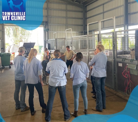 Townsville Veterinary Clinic - Aitkenvale, QLD