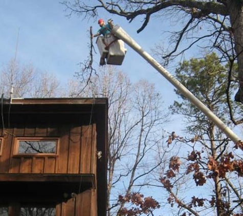 Heritage Tree and Arborist Services - Goldsboro, NC