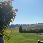 Methven Family Vineyards