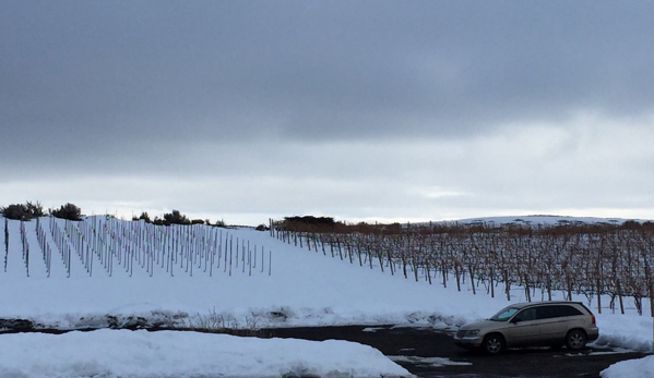 Tasting Room at Wilridge Vineyard - Yakima, WA