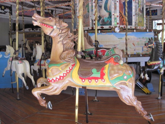 Carousel Gallery #51