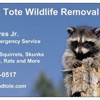 Trap and Tote Wildlife Removal gallery