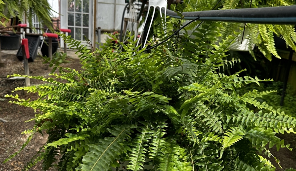 Sutherin's Greenhouse - East Palestine, OH