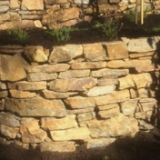 Gallery Image Number 2