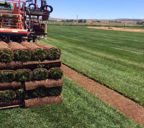 Sod King - Salt Lake City, UT