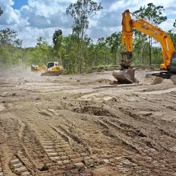 Gallery Image Number 4