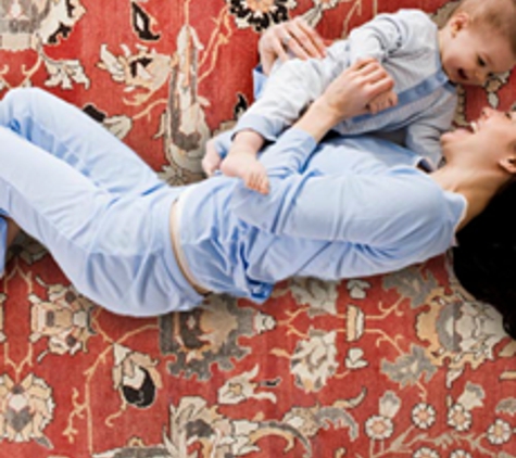 Budget Carpet Cleaning - Winter Garden, FL